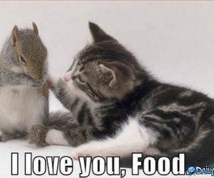 I Love You Food funny picture