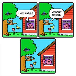 i miss nature