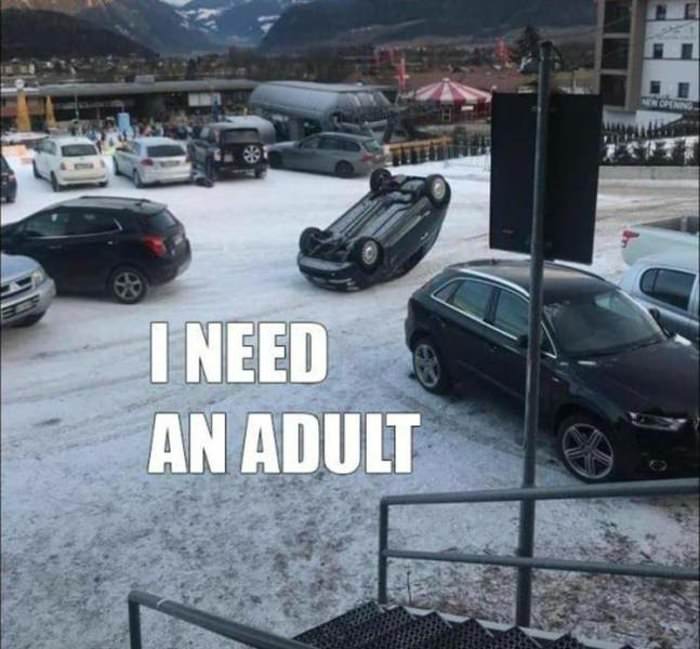 i need an adult ... 2