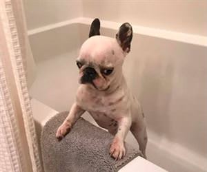 i need my bath now