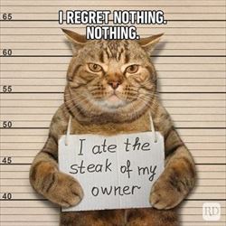 i regret nothing ... 2