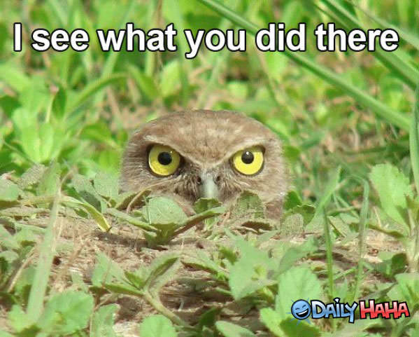 I See You funny picture
