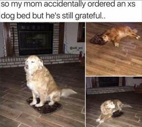 i still love it ... 2