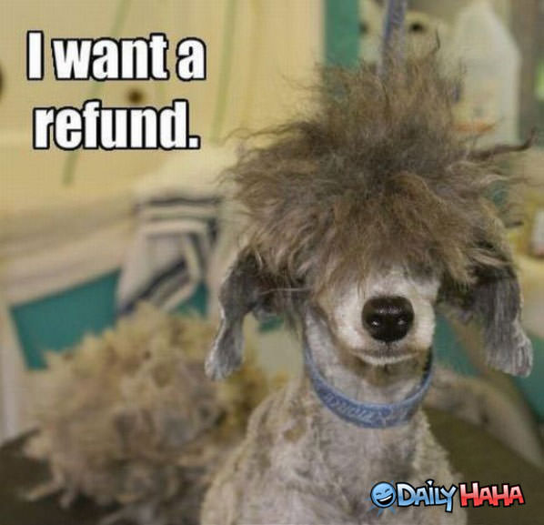 Want A Refund funny picture