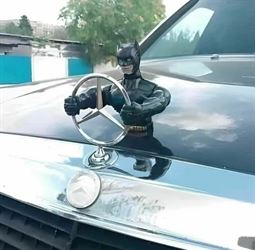 i will be your guide