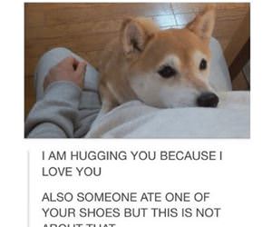 i am hugging you funny picture