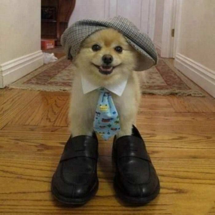 i am ready for work funny picture