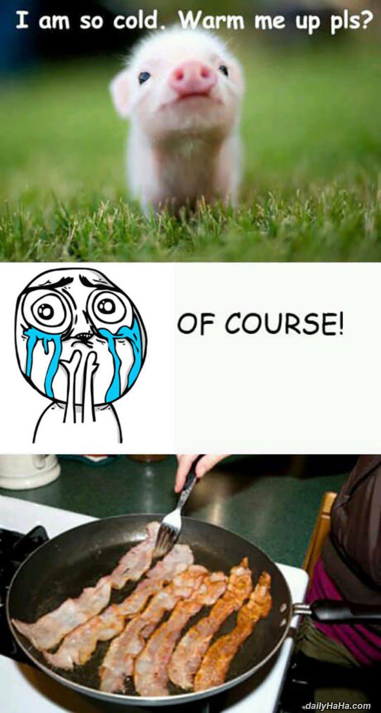 i am so cold funny picture