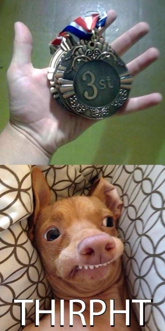 i did it funny picture