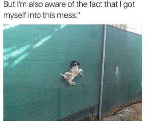 i do need your help funny picture