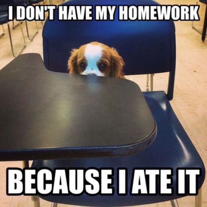 i dont have my homework funny picture