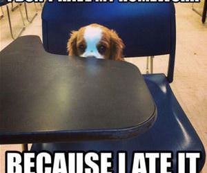 i dont have my homework funny picture