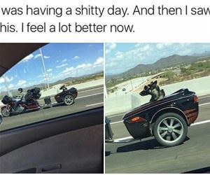 i feel better now funny picture