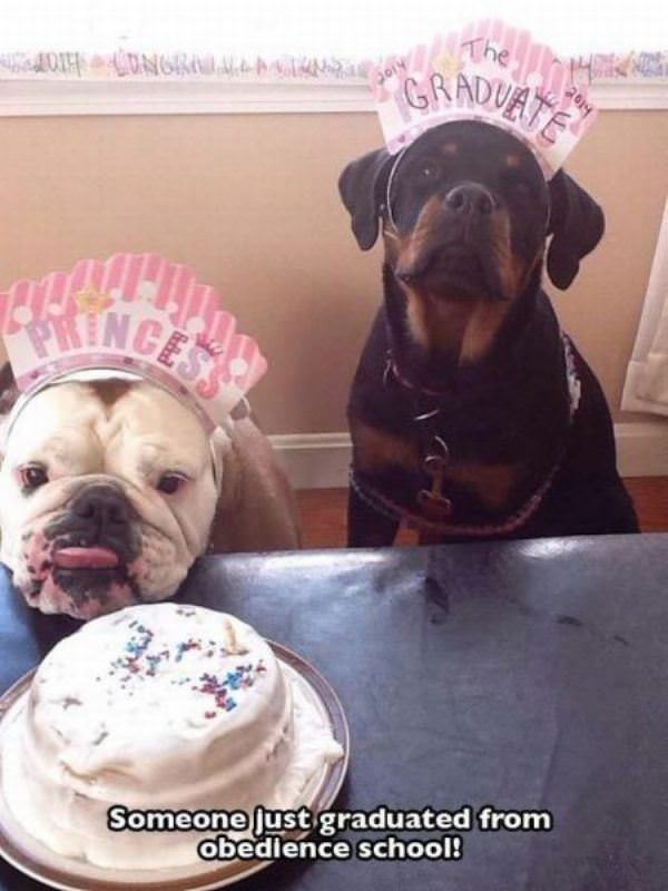 i graduated funny picture