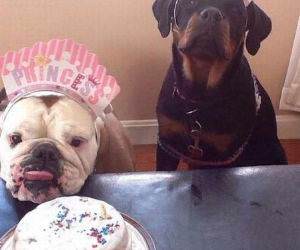 i graduated funny picture