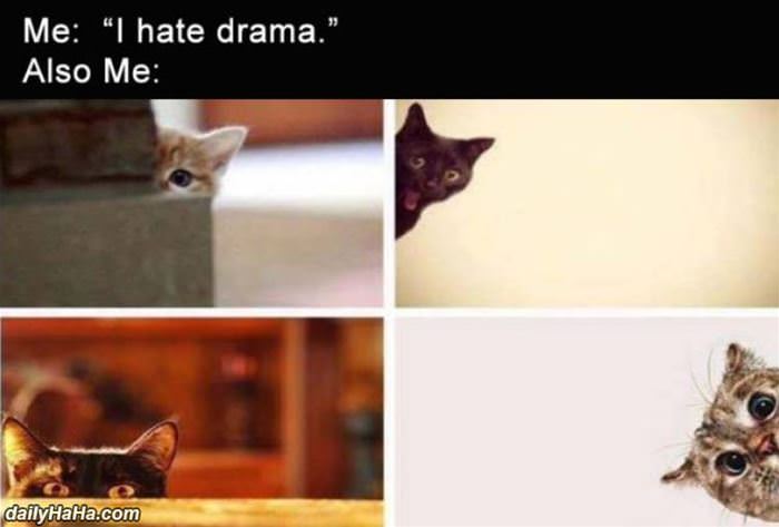 i hate drama but also funny picture