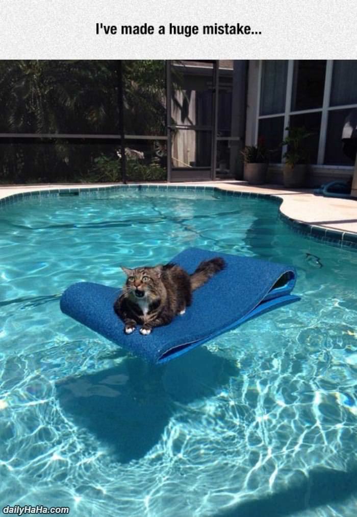 i have made a huge mistake funny picture