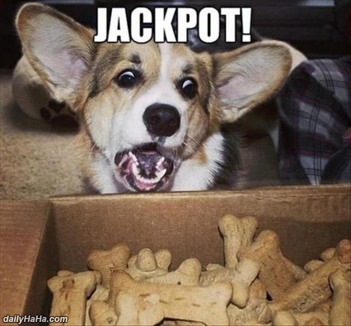 i hit the jackpot funny picture