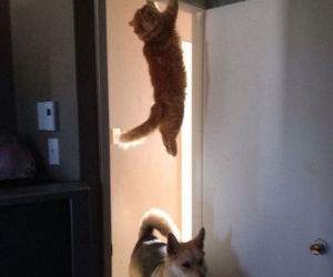 i know he went this way funny picture