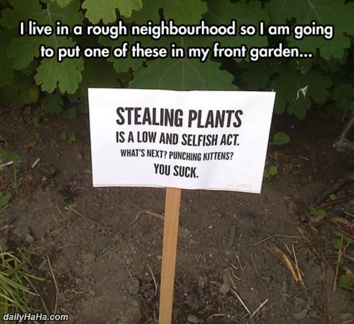 i live in a rough neighborhood funny picture