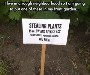 i live in a rough neighborhood funny picture