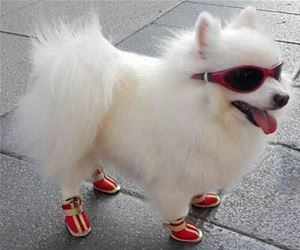 i met this cool guy funny picture