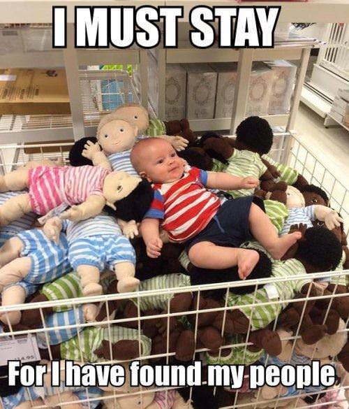 i must stay funny picture