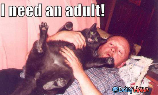 I need an adult