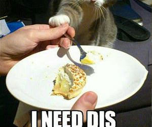 i need dis funny picture