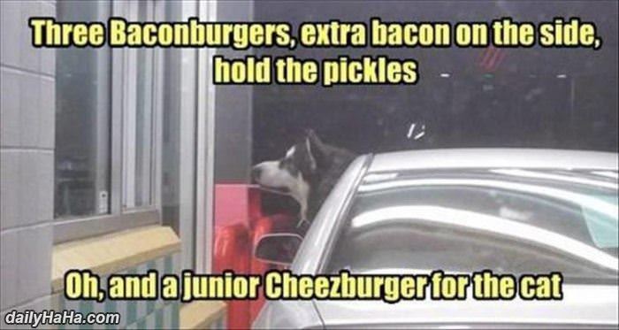 i need some burgers funny picture
