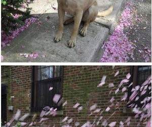 i really love the spring funny picture