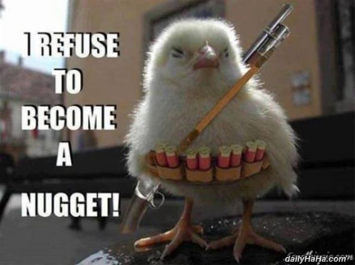 i refuse to be a nugget funny picture