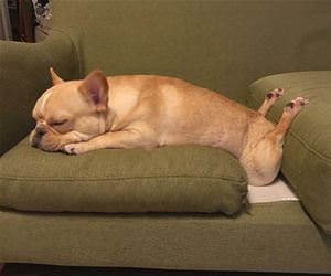 i sit a little weird funny picture