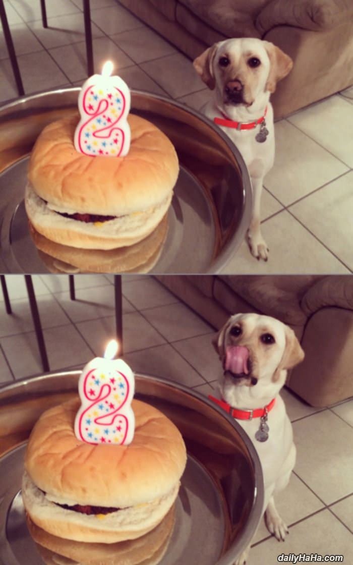 i want my cake funny picture