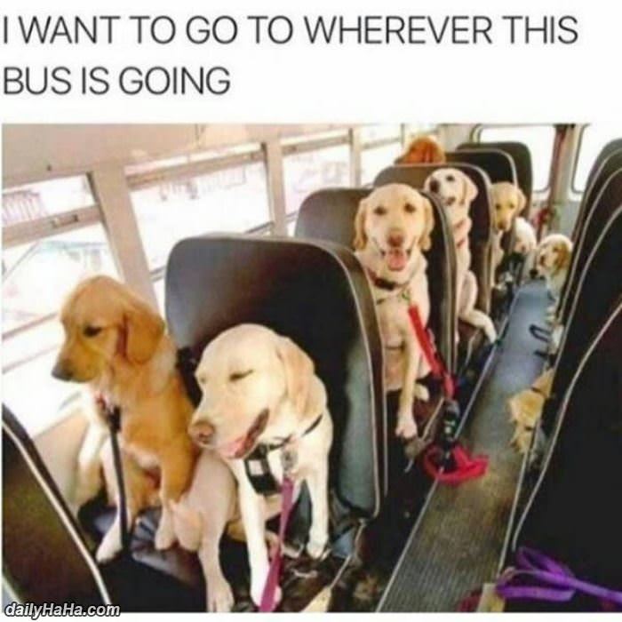 i want to go where this bus is going funny picture