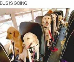 i want to go where this bus is going funny picture