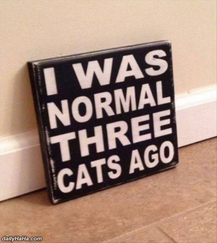 i was normal 3 cats ago funny picture
