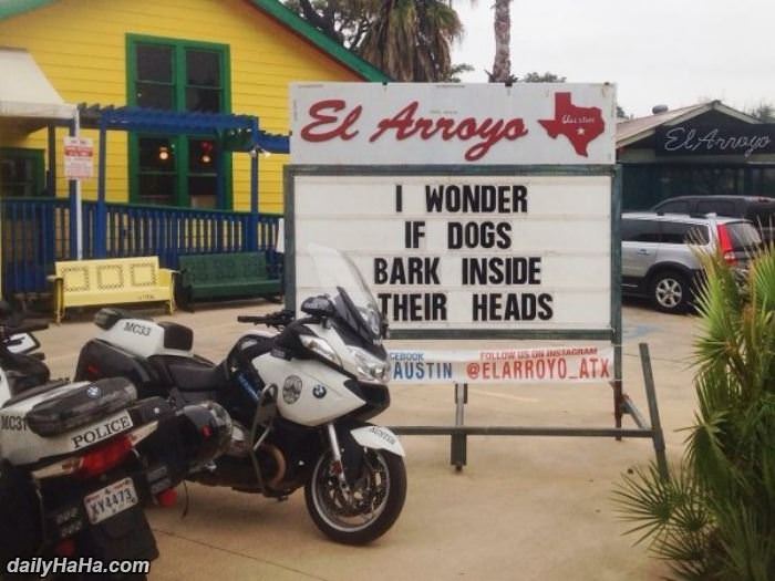 i wonder about dogs sometimes too funny picture