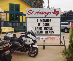 i wonder about dogs sometimes too funny picture