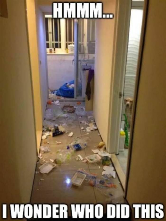 i wonder who did this funny picture