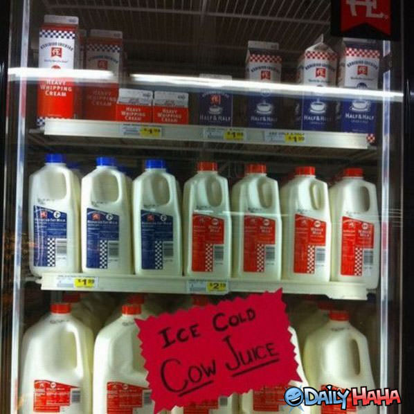 Cow Juice funny picture
