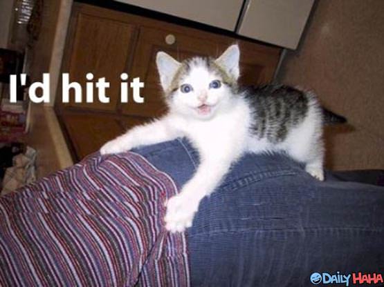 Id Hit It - Cat