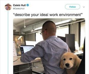 ideal work environment