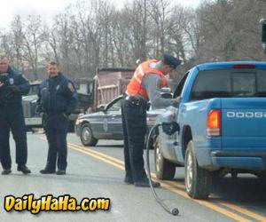 How stupid can you be