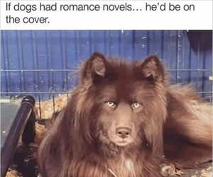 if dogs had romance novels