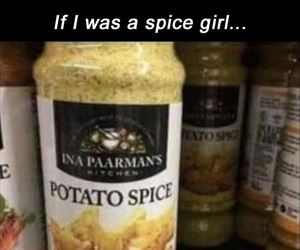 if i was a spice girl