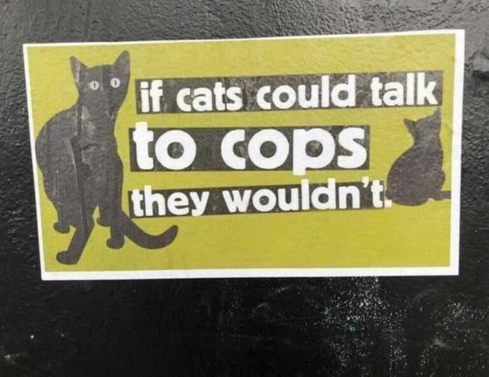 if they could