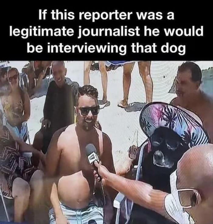 if this reporter
