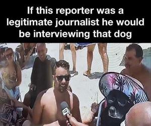 if this reporter