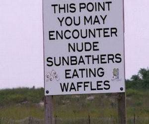 Nude Waffles funny picture